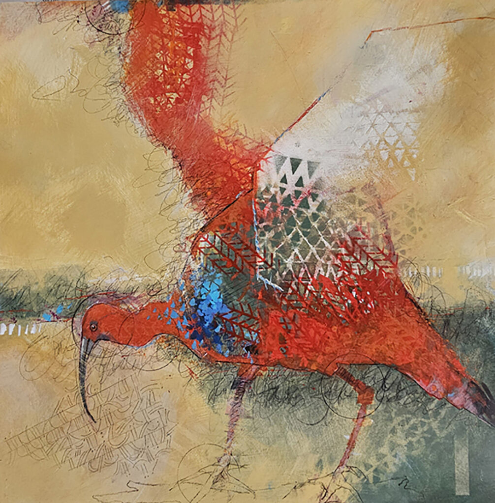 Ibis Flight