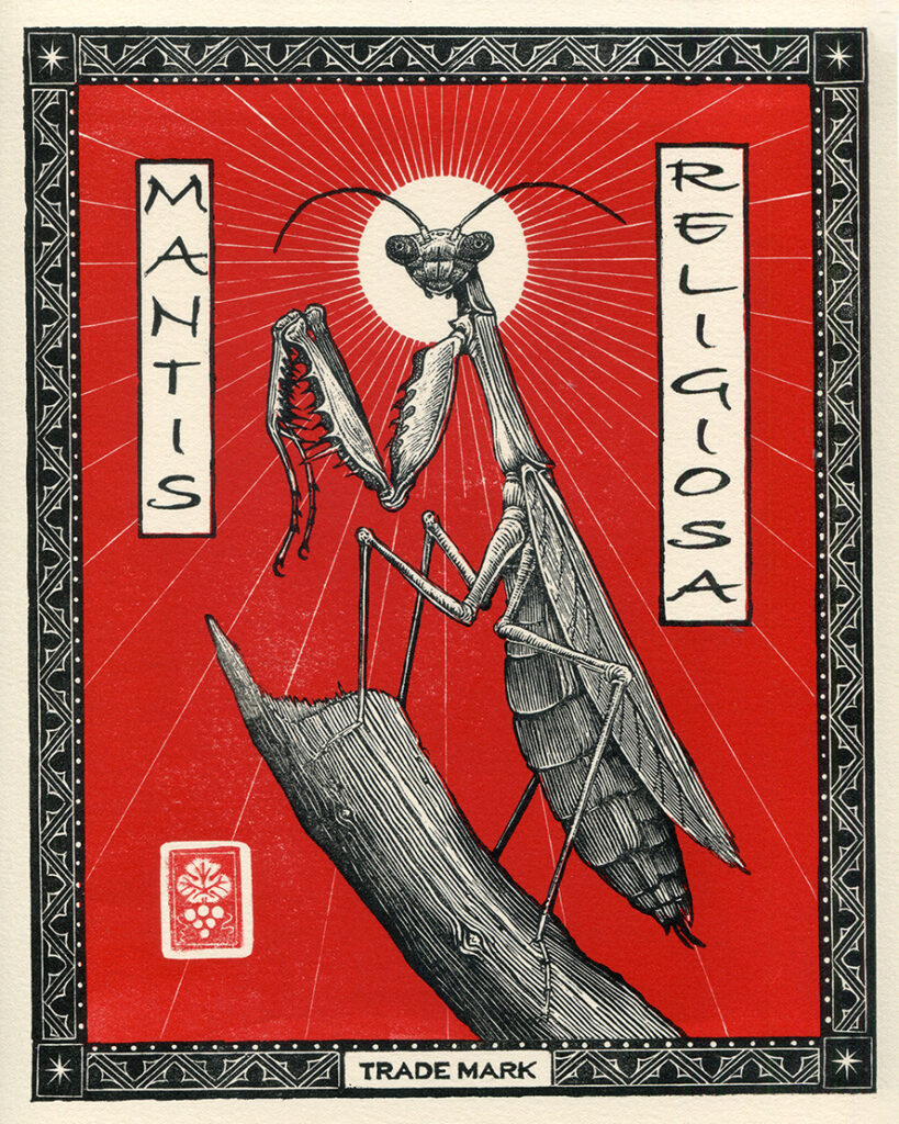 Mantis Religiosa