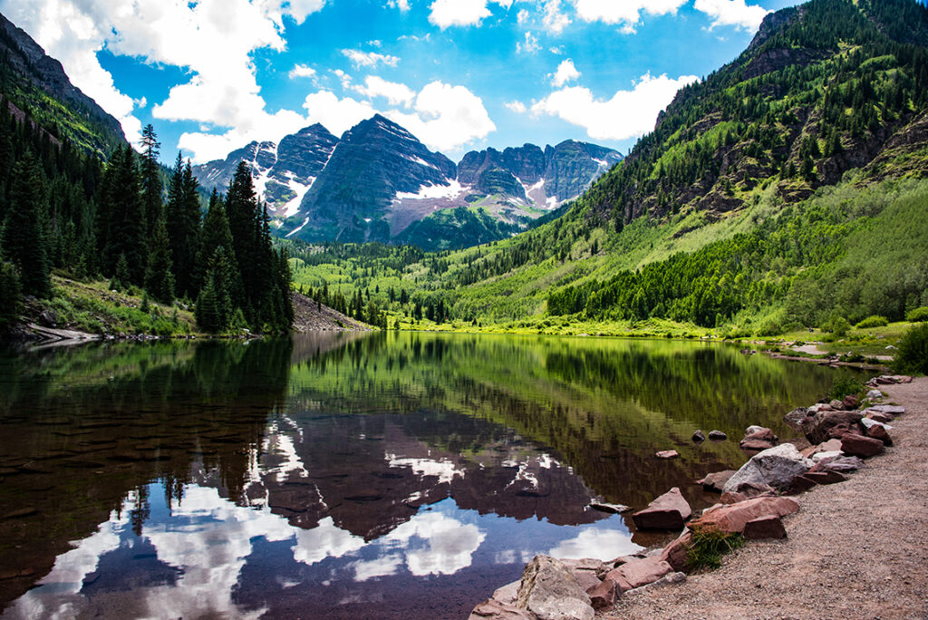 Marron Bells Reflected