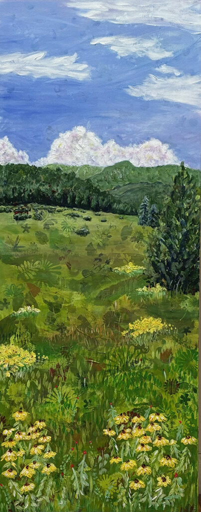 Nacimiento Meadow