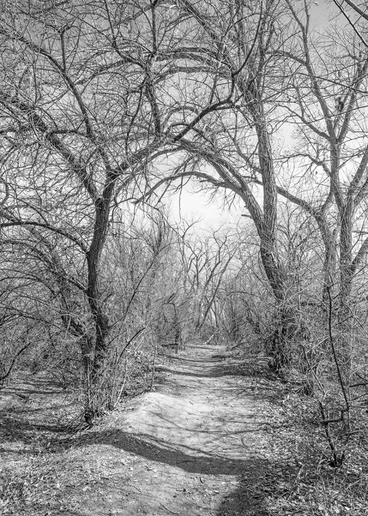 On A Well Worn Path
