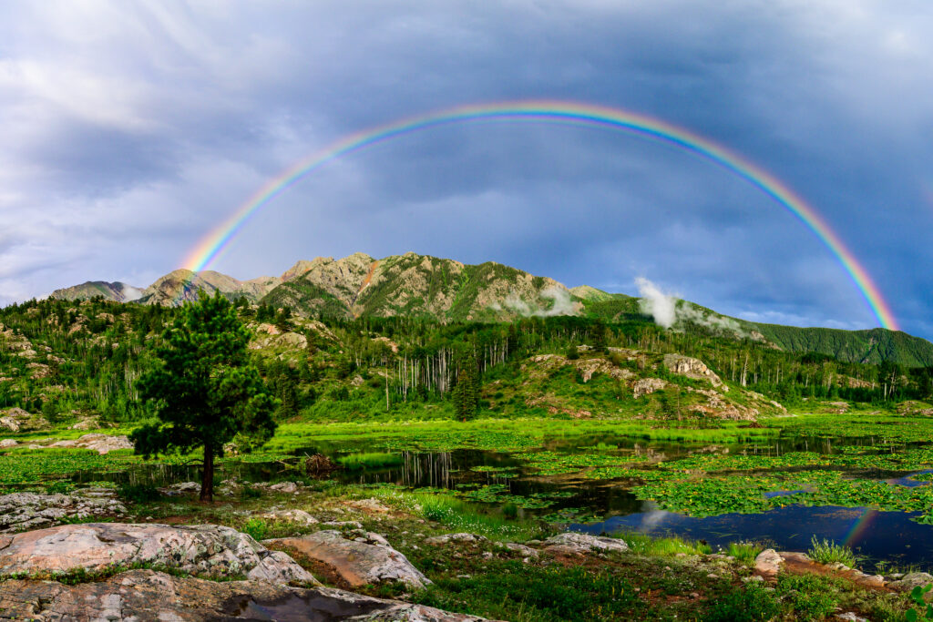 Somewhere Over the Rainbow