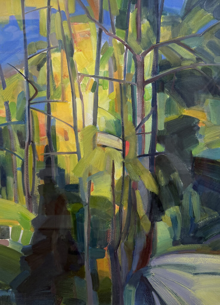 The Light in the Forest