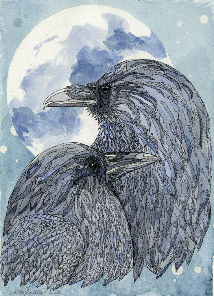 Twin Shadows