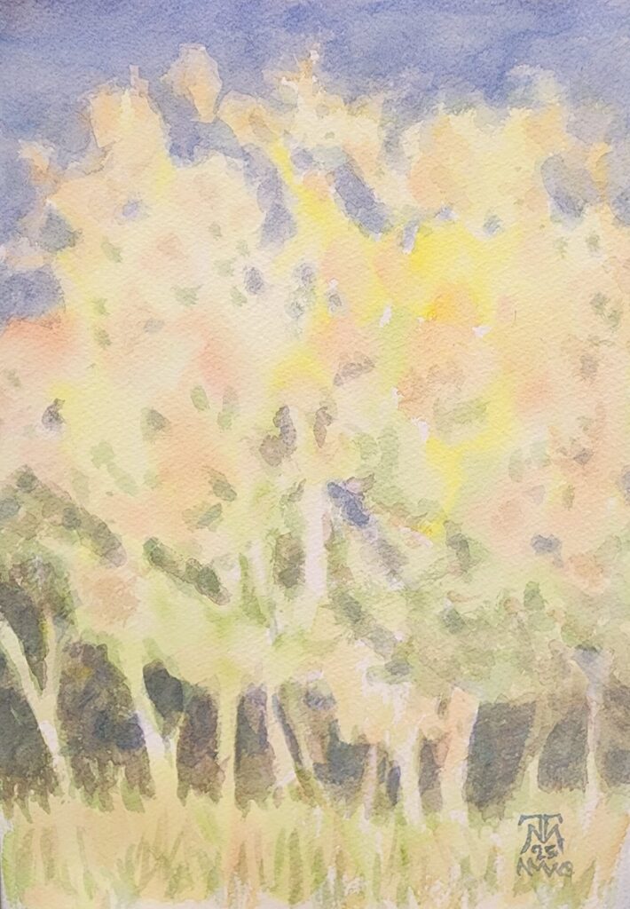 Aspen Colors #2
