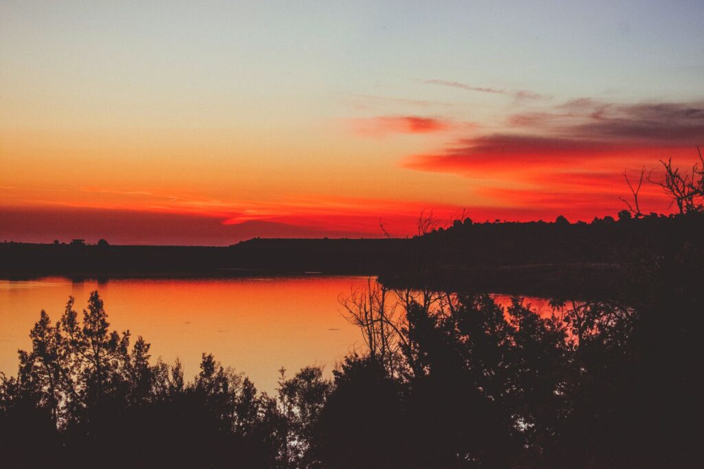 Beneath the Orange Sky