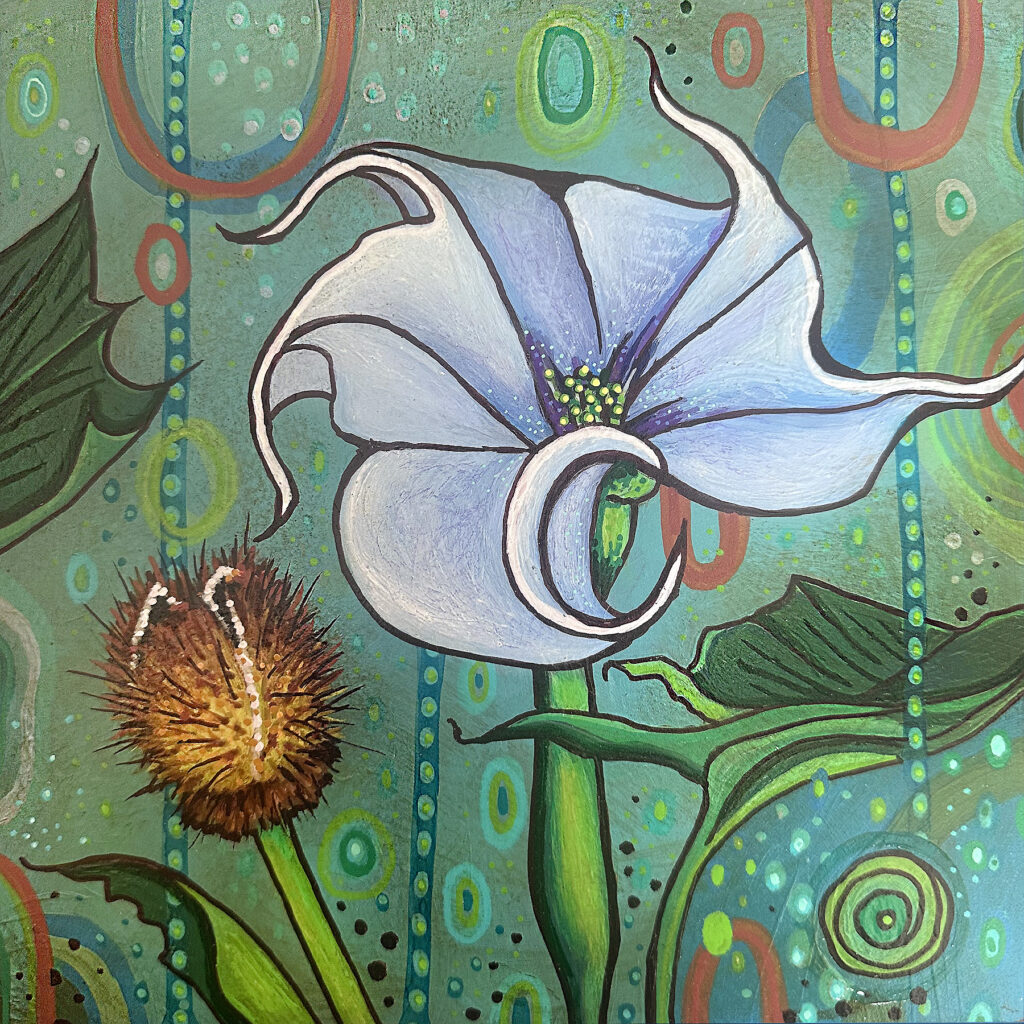 Datura