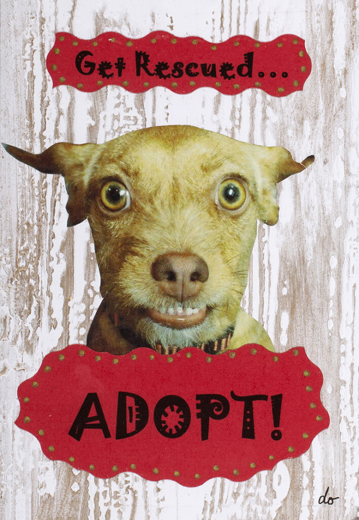 Get Rescued Adopt!