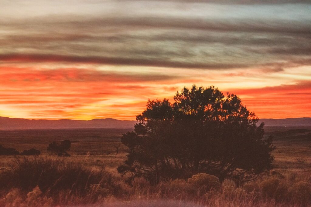 Horizon Haze