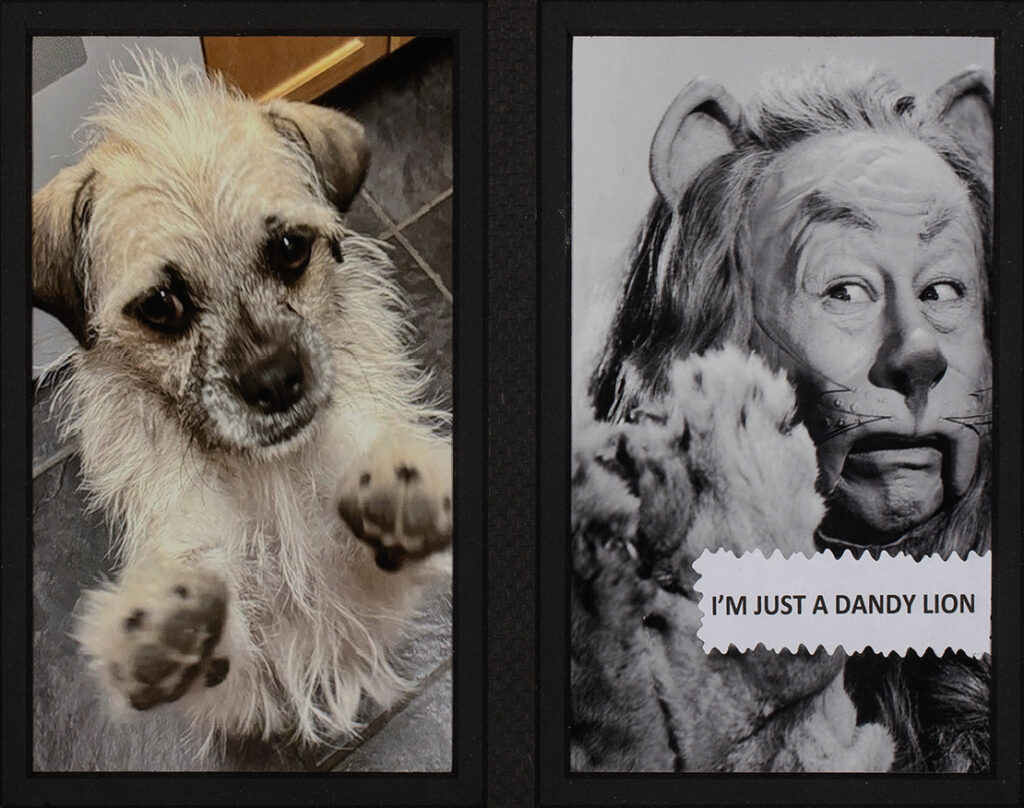 I’m Just a Dandy Lion