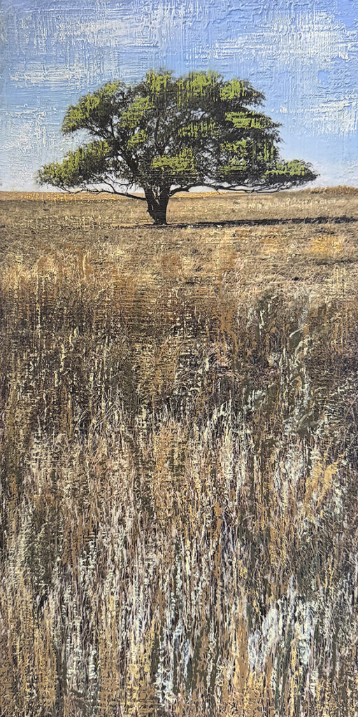 Lone Tree