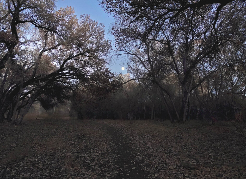 Moonwalk