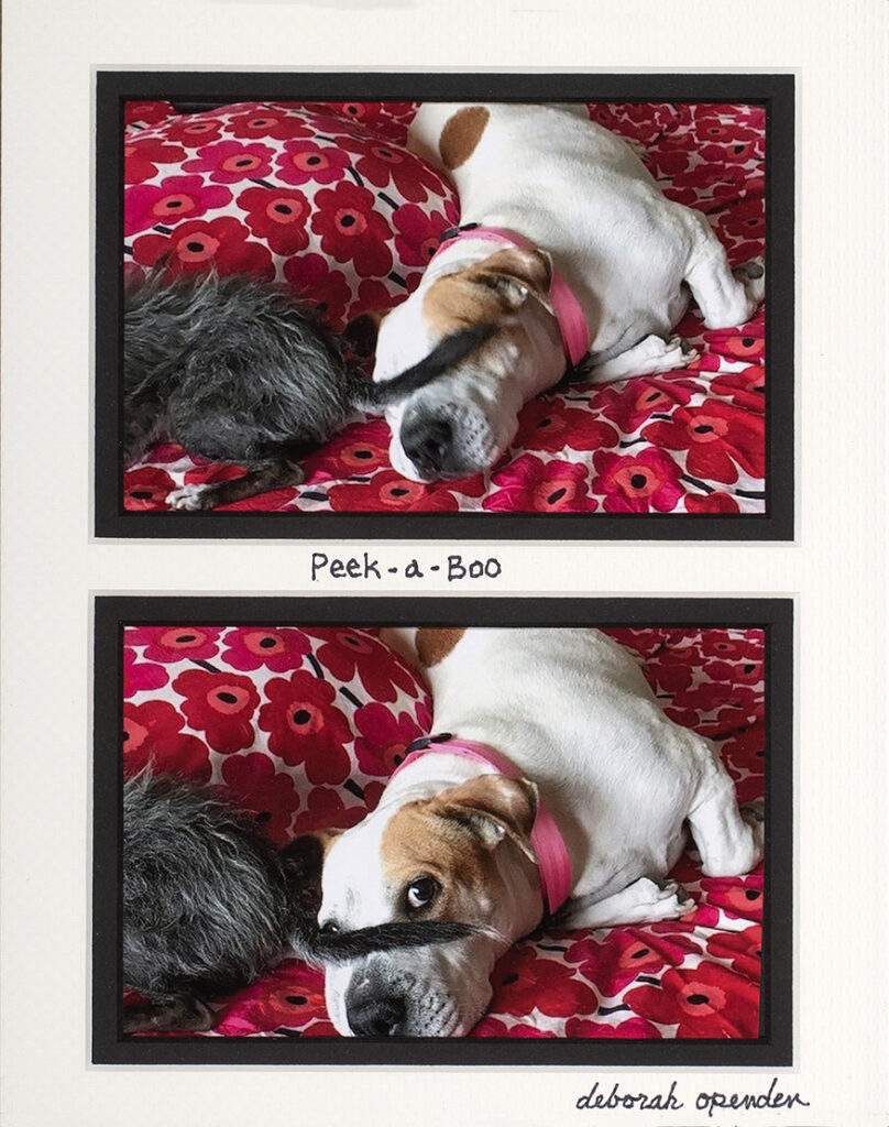 Peek-a-Boo