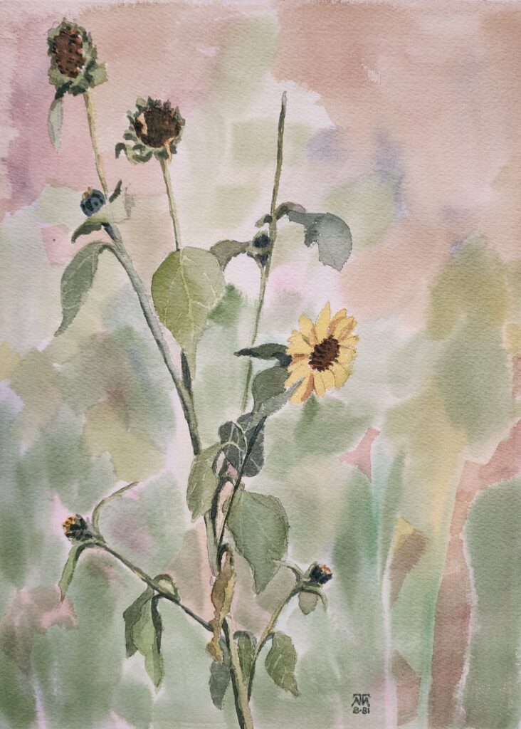 Sunflowers