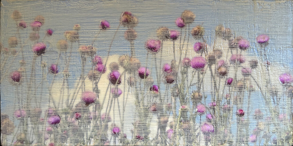 Thistles #3