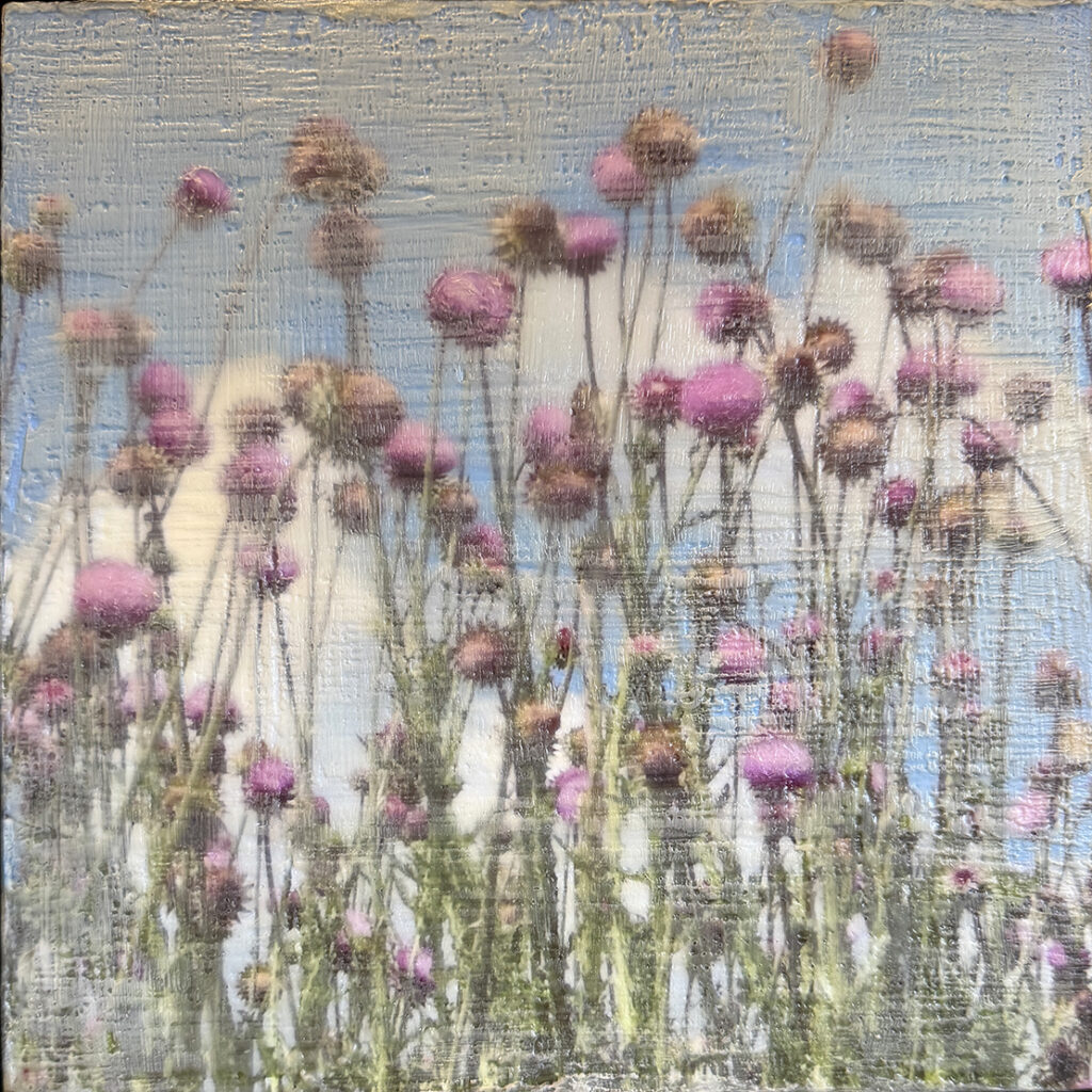 Thistles #4
