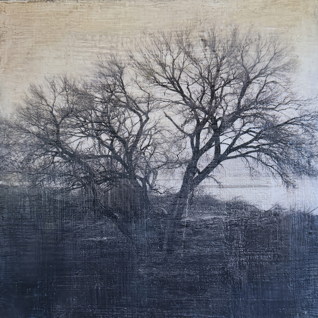 Winters Trees #4