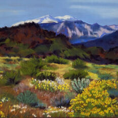 Mountain Splendor