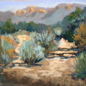 Three Gun Springs, for web