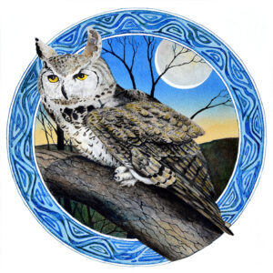 great horned owl, for web